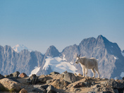 North Cascades National Park