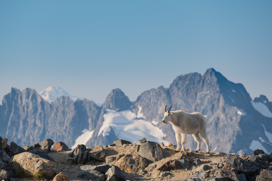 North Cascades National Park