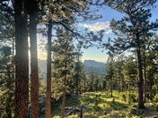 Black Hills National Forest 