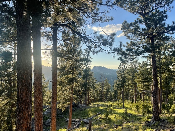 Black Hills National Forest 