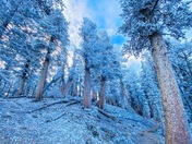 Angeles National Forest 