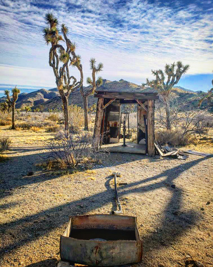 Joshua Tree National Park
