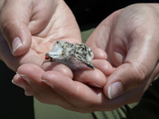 Salinas River National Wildlife Reserve