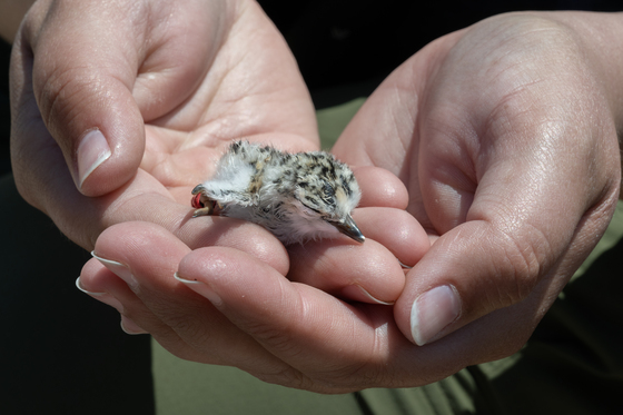 Salinas River National Wildlife Reserve