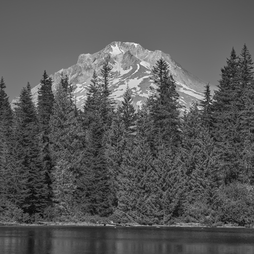 Mt Hood National Forest 