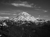 Mt Rainier National Park
