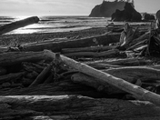 Olympic National Park