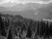 Mt Rainier National Park 