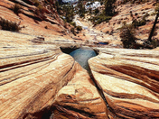 Zion National Park
