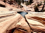Zion National Park