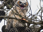 Salinas River National Wildlife Refuge