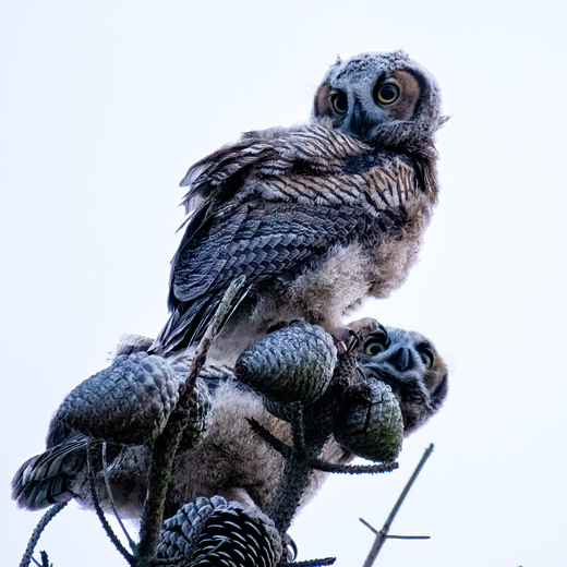 Salinas River National Wildlife Refuge