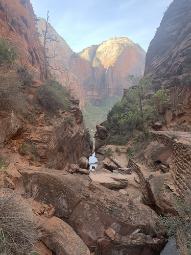Zion National Park