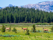 Yosemite National Park