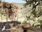 Tonto National Monument 