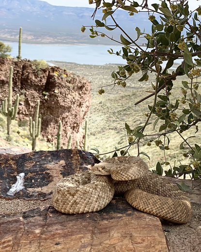 Tonto National Monument 