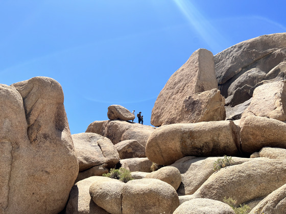 Joshua Tree National Park