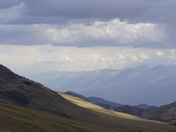 Ancient Bristlecone Pine Forest