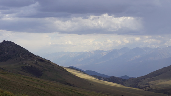 Ancient Bristlecone Pine Forest