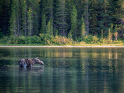 Glacier National Park 