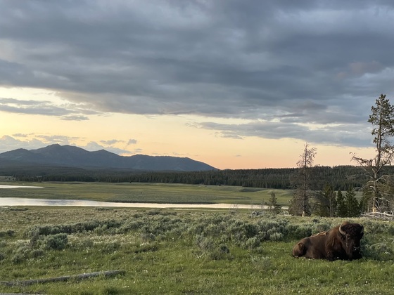Yellowstone National Park