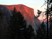 Yosemite National Park