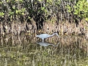 Canaveral National Seashore 