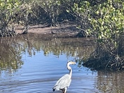 Canaveral National Seashore 