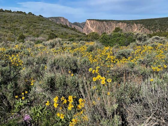 Black Canyon of the Gunnison National Park