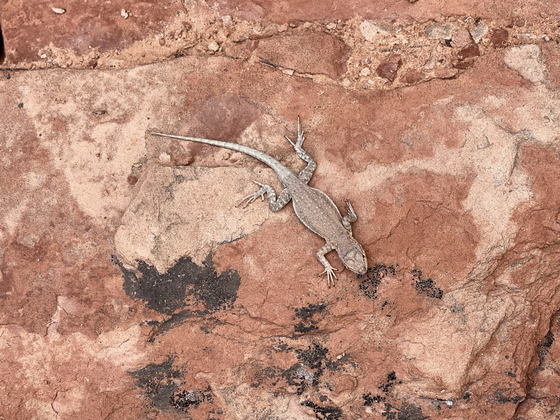 Dinosaur National Monument