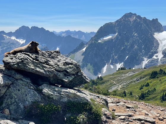 North Cascades National Park