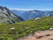 North Cascades National Park