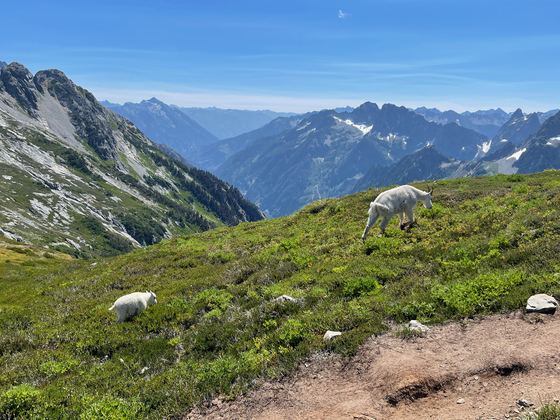 North Cascades National Park