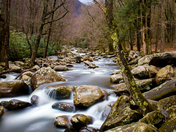 Great Smoky Mountain National Park.