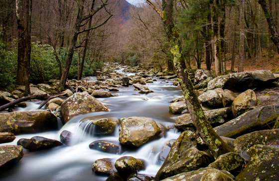 Great Smoky Mountain National Park.