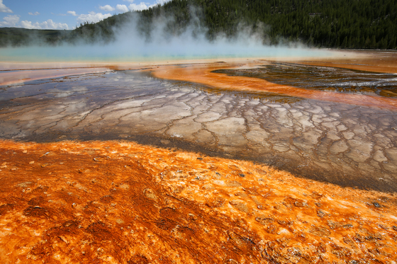 Yellowstone National Park