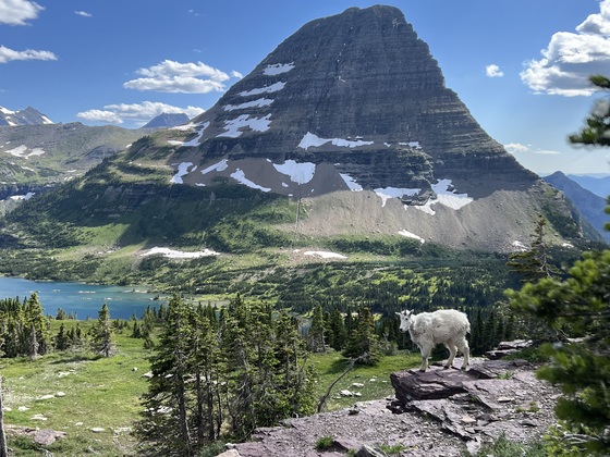 Glacier National Park