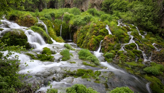 Roughlock Falls,  South Dakota 