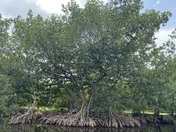 Everglades National Park