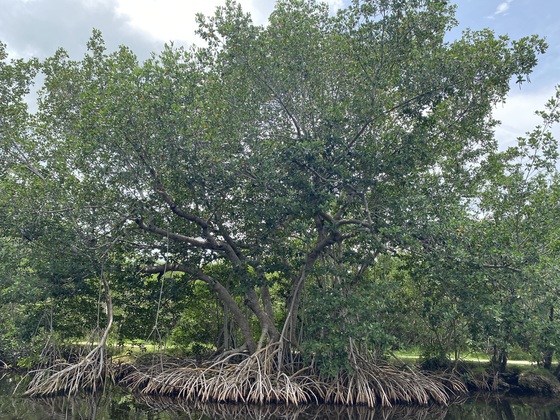 Everglades National Park