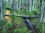  Convict Creek 