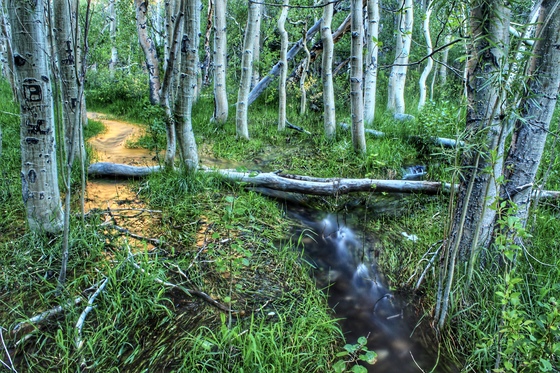  Convict Creek 
