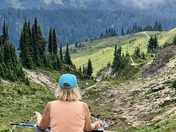 Mt Rainier National Park