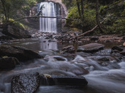 Pisgah National Forest