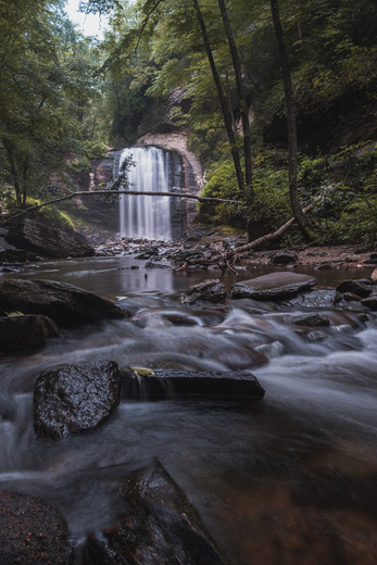 Pisgah National Forest