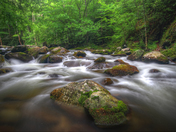 Great Smoky Mountains National Park 