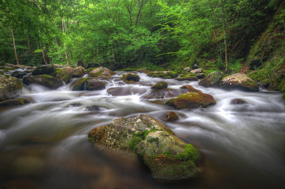 Great Smoky Mountains National Park 