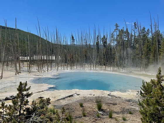 Yellowstone National Park 