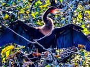 Everglades National Park
