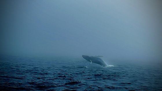 Monterey Bay